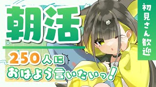 【朝活🌞雑談】初見さん歓迎✨朝からまったり雑談～！250人の方におはようを言うのが目標です！初見さんも気軽にコメントください～！【ライファ / 新人Vtuber】