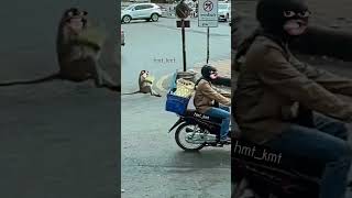 #hmtkmt #funny #dailyshorts #daily #videos #daily video