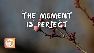 The Moment is Perfect | Br. Phap Linh