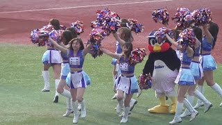 20160903  東京ヤクルトPassionのOpening Performance「E-girlsメドレー」