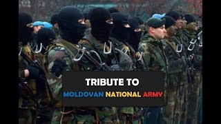 Tribute to Moldovan National Army