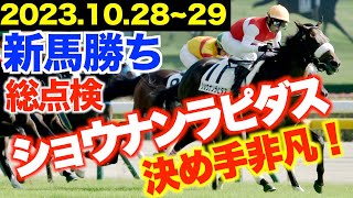 【新馬勝ち総点検】鮮やかに差し切ったショウナンラピダス　マイル〜中距離で期待の星！《東スポ競馬》