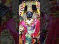 athi varadhar vaibhavam 2019 athi varadhar on day 42nd day athivaradhar athivaradar