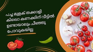 വില കൂടിയാലും പ്രേശ്നമില്ല | പച്ചമുളകും തക്കാളിയും കിലൊ കണക്കിന് ഫ്രീസറിൽ സൂക്ഷിക്കാം | Fathima Tips