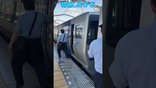 マジ⁉️いきなり電車を切り離す！驚きの特急しおかぜ💦 #四国 #瀬戸大橋 #香川県 #電車 #切り離し #特急 #しおかぜ #バイバイ