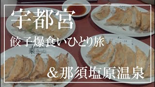 【那須塩原温泉】餃子食べて温泉入って寝るだけの幸せな旅の記録【宇都宮ひとり旅】