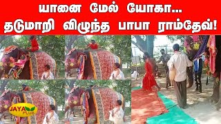 யானை மேல் யோகா... தடுமாறி விழுந்த பாபா ராம்தேவ்! | Baba Ramdev after falling from elephant