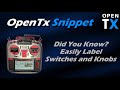 OpenTx Snippet • How-To Customize Hardware Labels