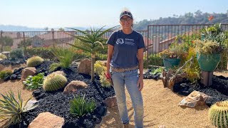 Del Mar Backyard Succulent Redesign Grand Reveal September 30 2021