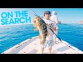 Looking for a GIANT | Catalina Island | Calico Bass fishing