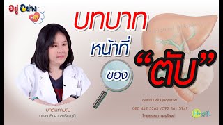 #10 บทบาทหน้าที่ของตับ