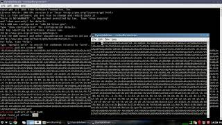 Windows Buffer Overflow Vulnserver