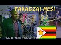 Paradzai Mesi - Ngoma yemufaro