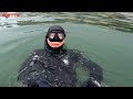 수심10미터에는 어떤고기가 있을까 프리다이빙freediving fox☆tv