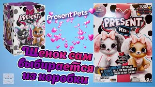 Интерактивный Щенок Present Pets САМ Себя РАСПАКОВЫВАЕТ! Как Играть со Щенком Инструкция Распаковка