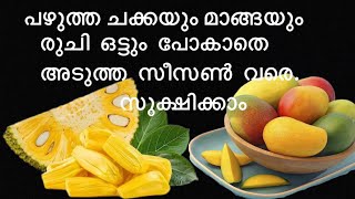 പഴുത്ത ചക്കയും മാങ്ങയും അതേ രുചിയിൽ തന്നെ ഒരു വർഷം വരെ സൂക്ഷിക്കാം | How to store mango \u0026 Jackfruit