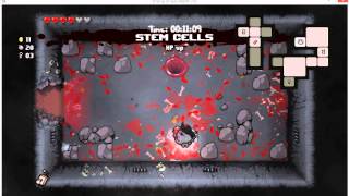 [금공]The Binding OF ISAAC REBIRTH(아이작 리버스)3번째클리어