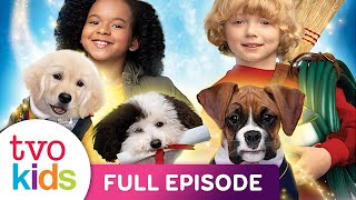 PUP ACADEMY - Episode 1/2 - The Stray's First Day - Full Episode