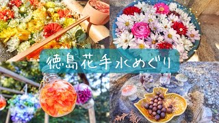 【とくしま花手水めぐり】リスが大量発生🐿️💕見つけた数だけ幸せ度アップ🫶🏻