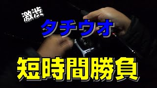 【タチウオ】短時間でも釣れるから♪