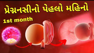 પ્રેગ્નનસીનો પેહલો મહિનો I pregnancy 1 month gujarati  I 1 month gujarati I