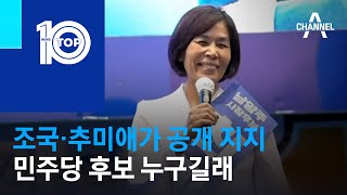 조국·추미애가 공개 지지…민주당 후보 누구길래 | 뉴스TOP 10