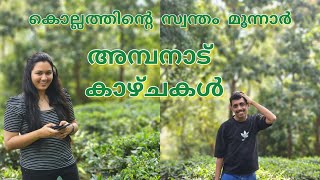 കൊല്ലത്തിൻ്റെ മൂന്നാർ അമ്പനാട് | മഞ്ഞില്ലാത്ത സമയത്ത് ഇവിടെ വന്നപ്പോൾ | Ambanad Tea Estate |