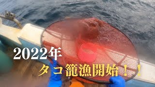 【タコ籠漁】2022年タコ漁始まりました！【北海道神恵内村】