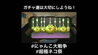 運を使い果たした結果...【にゃんこ大戦争】【ガチャ】