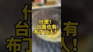 台灣布丁仙人 #funny #funnyvideo #tiktok #life #搞笑#プリン#fyp