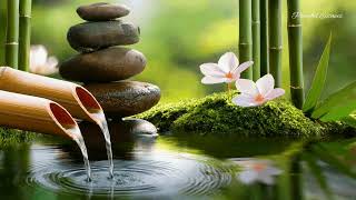 Relaxing Piano Music \u0026 Water Sounds, Deep Sleeping Music - Meditation Music,Water Fountain, Bamboo.