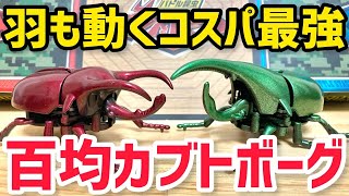 【開封】ヘラクレスvsアトラス！百均カブトボーグの昆虫ファイター！羽まで動いて100円はコスパ最強すぎ！ kabutoborg