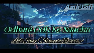 Odhani Odh Ke Naachun || Udit Narayan | Alka Yagnik Lofi song (Slowed+Reverb)