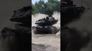 Leopard 2 springt