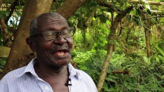 Community Rainwater Harvesting Project in Blaize - Grenada