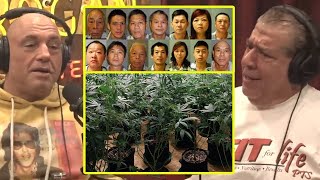 Large Scale Chinese Grow Ops In America | Joe Rogan \u0026 Joey Diaz