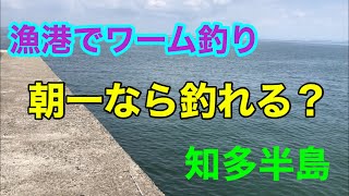 知多半島 朝一なら釣れる？漁港でワーム釣り