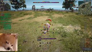 BDO Hashashin PVP 蝕武 VS 肥叉極限由油雞來超越 父子局 10局 @fakeluciomain