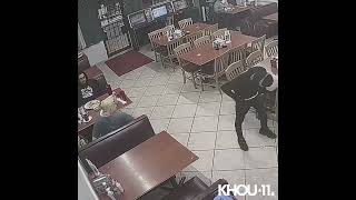 Video shows what led to a customer shooting a robber at a taqueria in SW Houston #shorts