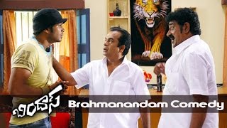 Brahmanandam Back To Back Comedy | Bindaas Movie Comedy Scenes | Raghu Babu Comedy