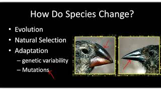 APES, Chapter 4 Lecture I
