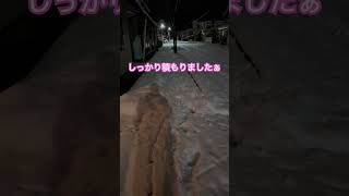 ネコと子ネコとおじさんのネコ無し動画　しっかり雪積もりましたぁ　#shorts #青森 #雪 #雪かき #十和田