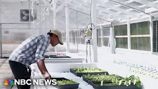 Farming nonprofit helps farmers transition to sustainable agriculture