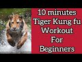 real timing kung fu class / tiger kung fu for beginners / tiger claw , kick , punch