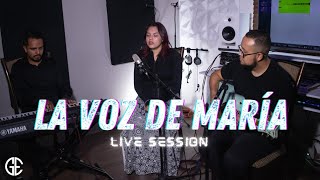 Gustavo Ericsson - La voz de María (Live session Feat. Andy Onchi)