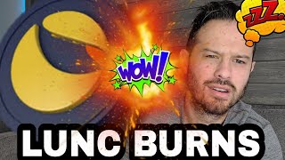 Terra Luna Classic | Looks Like LUNC Burns Will See A Major Change