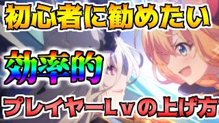 【プリコネR】初心者必見！効率的なプレイヤーレベルの上げ方講座！