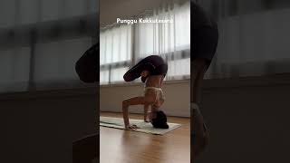 Ashtanga yoga Advanced B series Punggu Kukkutasana