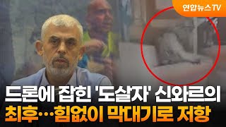 드론에 잡힌 '도살자' 신와르의 최후…힘없이 막대기로 저항 / 연합뉴스TV (YonhapnewsTV)