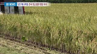 1125 당진 해나루쌀, 전국 최고 밥맛 명성 유지